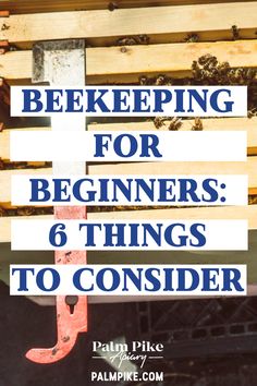 a sign that says beekeepers for beginners 6 things to consider on the front