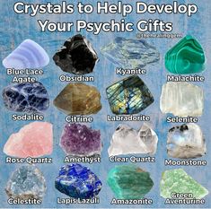 Crystal Meanings Charts, Spell Ingredients, Crystal Rocks, Crystal Seashells, Psychic Gifts, Healthy Kidneys