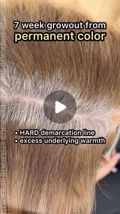 Emily Chen on Instagram: "SAVE THIS FOR YOUR NEXT GREY BLENDING CONSULTATION.   There are SO many options when it comes to grey solutions - not just N + 20vol. As many of you know by now, one of my favorites is using a deposit-only Demi to grey-blend as an alternative to permanent color when possible. This offers a more dimensional result, zero underlying warmth (never fades “brassy”), and an ultra soft grow out for my low-maintenance queens. When I do this, I like to formulate about one shade lighter than the natural base to create a “highlighted” effect, and add warmth since there is NO underlying warmth in the grey we’re applying it over.   For my client here, we used Goldwell Colorance 2% (7vol) 60ml developer, 30ml 6N, 30ml 7G   Have you used deposit-only demi’s for grey blending?   # Highlights For Growing Out Grey Hair, Light Ash Gray Hair Color, Low Maintenance Color For Grey Hair, Dark Blonde Grey Blending, Low Lights Grey Blending, Demi Permanent Grey Blending, Blonde Hair To Cover Grey Hair, Gray Blending Brunette Hair, Brown Hair Grey Blending