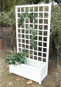 a white trellis planter with plants growing out of it's sides in the yard