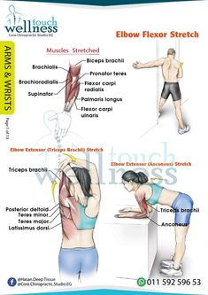 an image of the elbow flexor stretch and how to use it for back pain