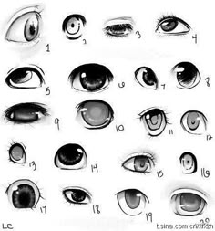 various types of eyes and their corresponding parts are shown in this drawing lesson, which shows how