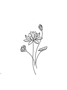 a black and white drawing of flowers on a white background