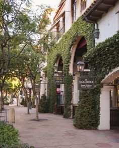 the sidewalk is lined with ivy covered buildings