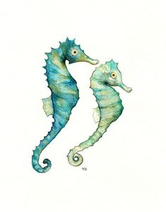 two seahorses standing next to each other on a white background with blue and green colors