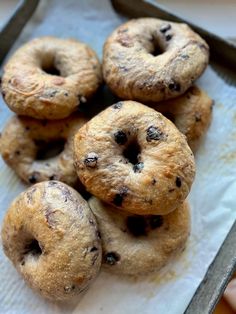 chocolate chip donuts are on a baking sheet