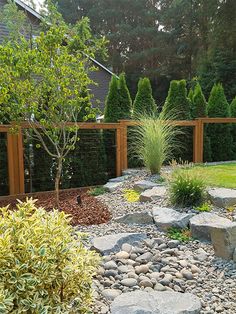 a garden with rocks and plants in it