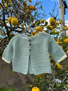 a baby sweater hanging from a tree with lemons in the background and blue sky