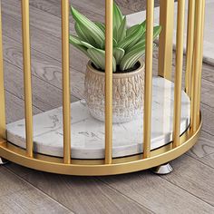 a potted plant sitting inside of a golden cage on top of a wooden floor