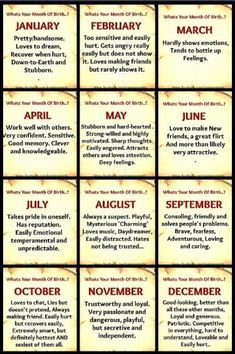 twelve months of the year poster