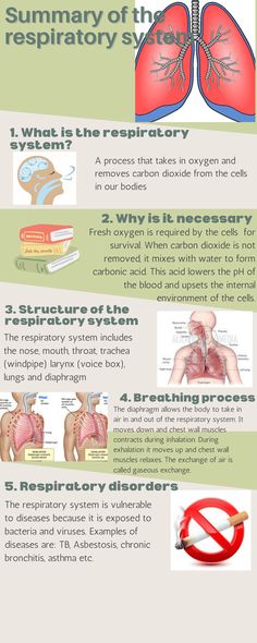 the anatomy of the human body and its functions info sheet with instructions on how to use it