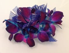 a purple and blue flower on a white surface