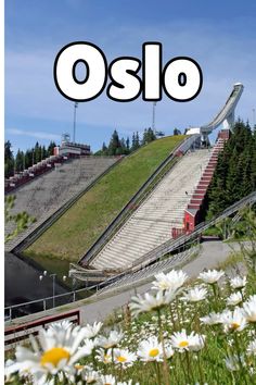 there is an image with the words oslo in front of it and daisies