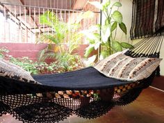 an empty hammock in front of a window with plants and stairs behind it