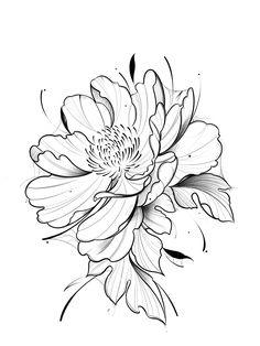 a black and white drawing of a flower