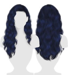 an image of a wig with long dark blue hair on the front and back of it