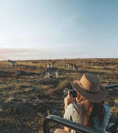 a woman with a hat is taking a photo of zebras in the wild on a sunny day