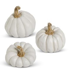 three white pumpkins sitting next to each other