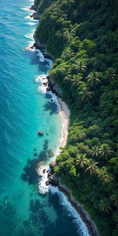 an aerial view of the ocean and beach with palm trees in the foreground, from above