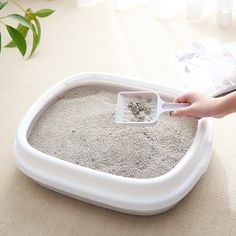 a person scooping sand into a white container