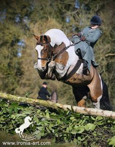 a person jumping a horse over a log