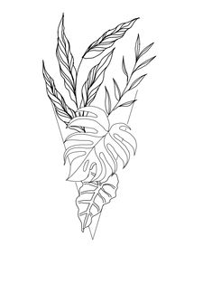 a black and white drawing of a plant with leaves