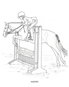 a drawing of a horse and rider jumping over an obstacle in the middle of a field