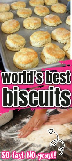 the words world's best biscuits are in front of an image of biscuits