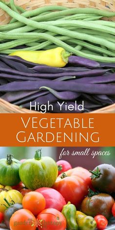 the cover of high yield vegetable gardening for small spaces, with an image of various vegetables in