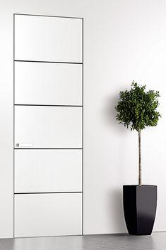 a potted plant in front of a white wall with a black vase next to it