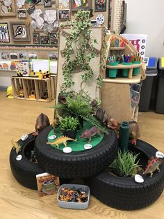 an assortment of toys and plants on display in a classroom