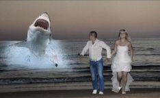 a man and woman are walking on the beach with a shark in front of them