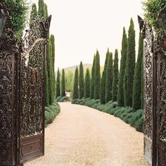 an open gate leading to a dirt road with trees on either side and bushes in the middle