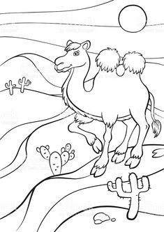 a coloring page with a camel and cactuses in the desert stock photo, royalty