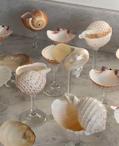 several seashells and wine glasses sitting on a counter top in front of a wall