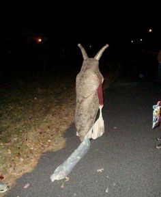 a person standing on the side of a road next to a dead animal statue with its mouth open