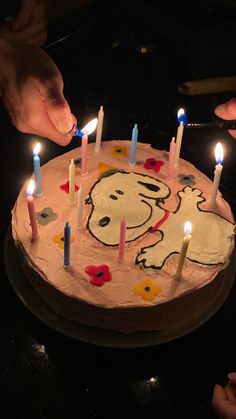 someone lighting candles on a birthday cake with a dog face drawn on the frosting