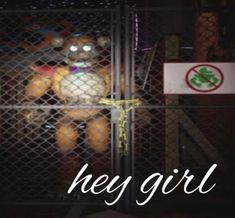 a teddy bear in a cage with the words hey girl