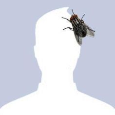 the silhouette of a man with a fly on his back, against a light blue background