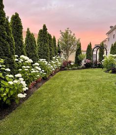 a lush green yard with white flowers and trees