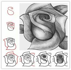 a drawing of a rose with the letter s in it's center and four different letters