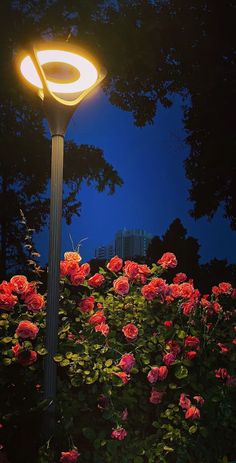 a street light surrounded by flowers at night