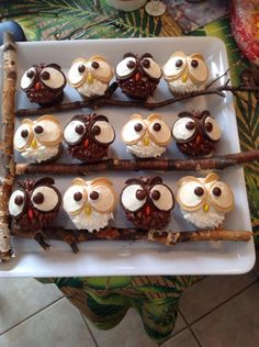 there are many cupcakes with owls on them sitting on a tray together, ready to be eaten