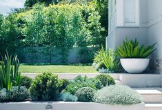 a white planter filled with lots of green plants next to a tall white building