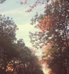 an empty street with trees lining both sides and the sun shining through the clouds in the distance