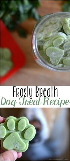 a dog treats recipe in a glass bowl