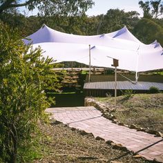 several white tents set up in the middle of a grassy area with trees and bushes