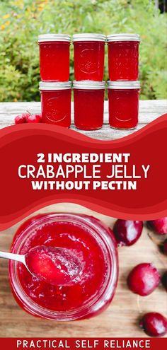 mason jars filled with crabapple jelly Crabapple Jelly Recipe Without Pectin, Ball Pectin Recipes, Whole Canned Crabapples, How To Make Crabapple Jelly, What Can You Do With Crabapples, Freezer Jelly Recipes, Crab Apple Recipes Jelly, What To Make With Crab Apples, Crab Apple Canning Recipes