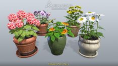 an assortment of flower pots with flowers in them