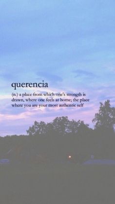 an airplane flying in the sky with a quote above it that says querencia